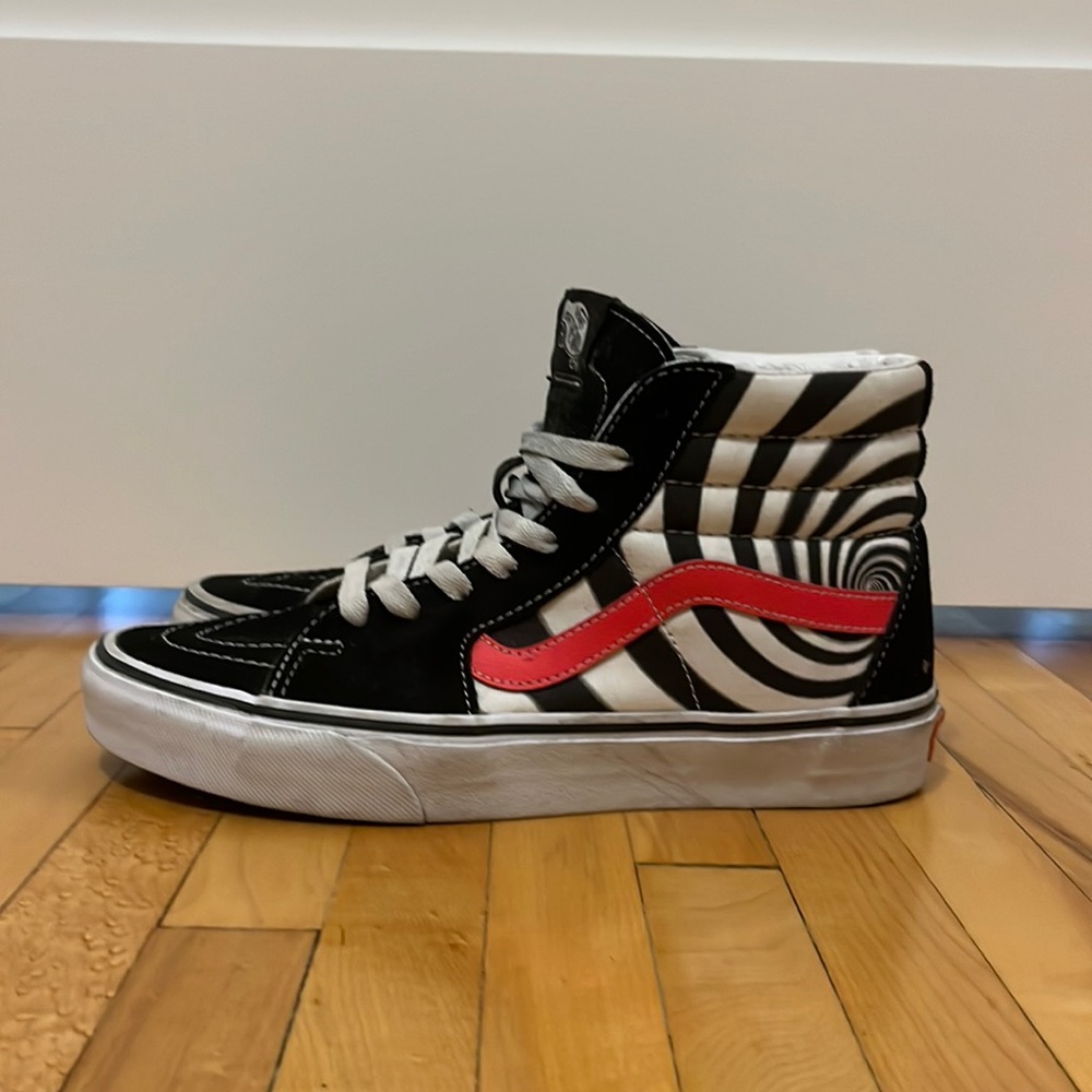 Limited Edition Vans Skate Hi Shoes